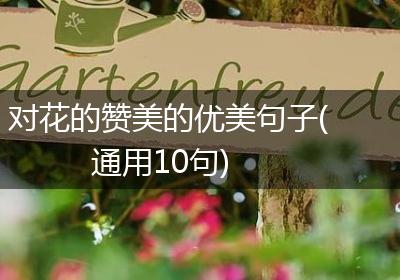 对花的赞美的优美句子(通用10句)