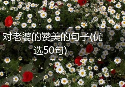 对老婆的赞美的句子(优选50句)
