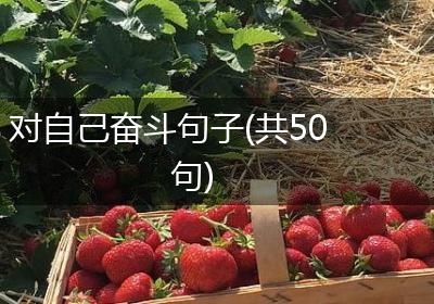 对自己奋斗句子(共50句)