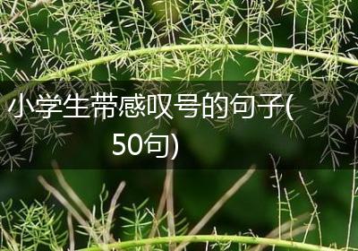 小学生带感叹号的句子(50句)