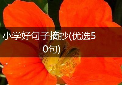 小学好句子摘抄(优选50句)