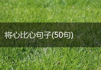 将心比心句子(50句)