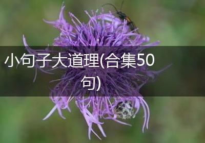 小句子大道理(合集50句)