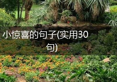 小惊喜的句子(实用30句)