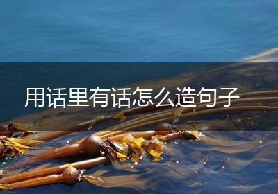 用话里有话怎么造句子