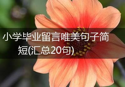 小学毕业留言唯美句子简短(汇总20句)