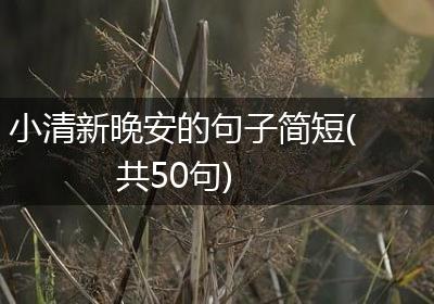 小清新晚安的句子简短(共50句)