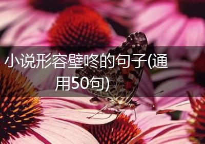 小说形容壁咚的句子(通用50句)