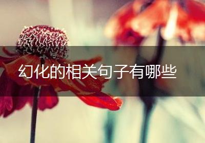 幻化的相关句子有哪些