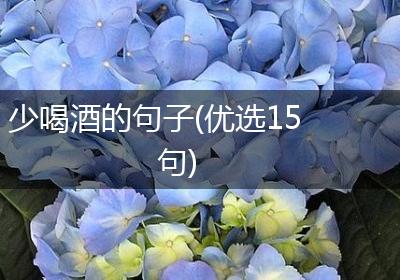 少喝酒的句子(优选15句)