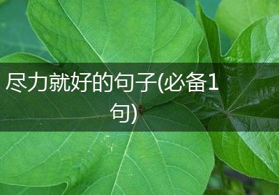 尽力就好的句子(必备1句)