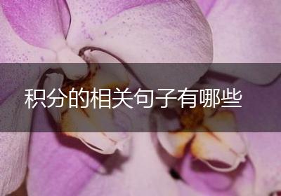 积分的相关句子有哪些
