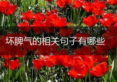 坏脾气的相关句子有哪些