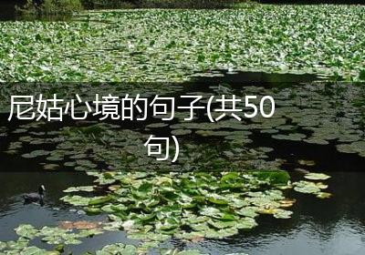 尼姑心境的句子(共50句)
