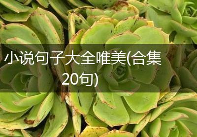 小说句子大全唯美(合集20句)