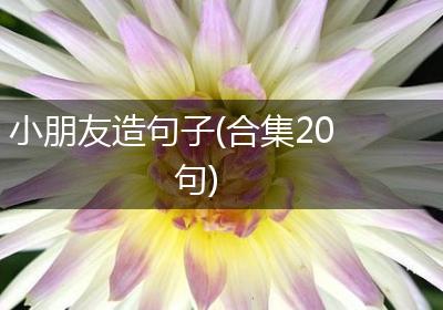 小朋友造句子(合集20句)