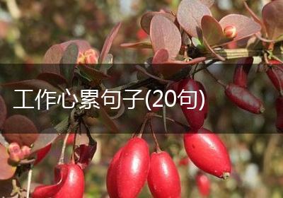 工作心累句子(20句)