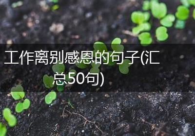 工作离别感恩的句子(汇总50句)