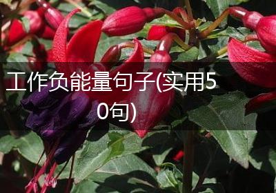 工作负能量句子(实用50句)