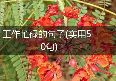 工作忙碌的句子(实用50句)