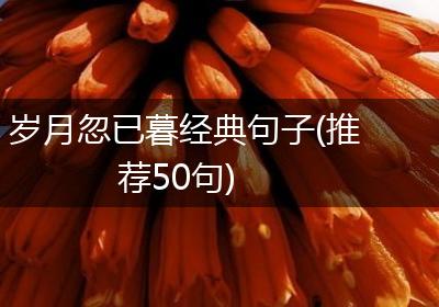 岁月忽已暮经典句子(推荐50句)