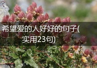 希望爱的人好好的句子(实用23句)