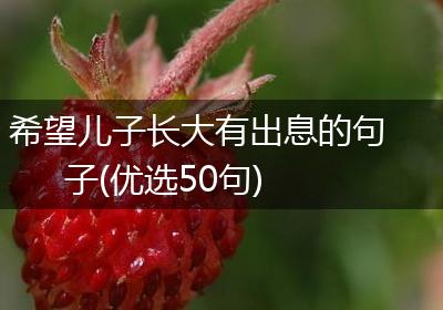 希望儿子长大有出息的句子(优选50句)