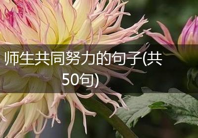 师生共同努力的句子(共50句)