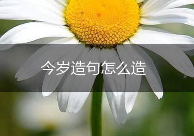 今岁造句怎么造
