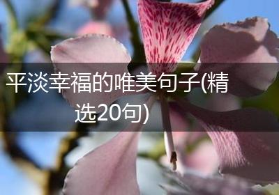 平淡幸福的唯美句子(精选20句)