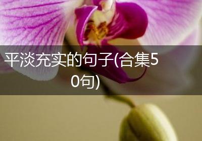 平淡充实的句子(合集50句)