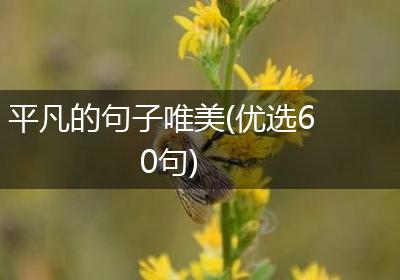 平凡的句子唯美(优选60句)