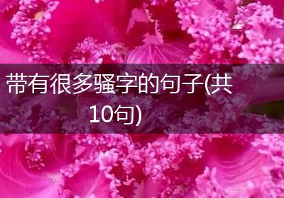 带有很多骚字的句子(共10句)