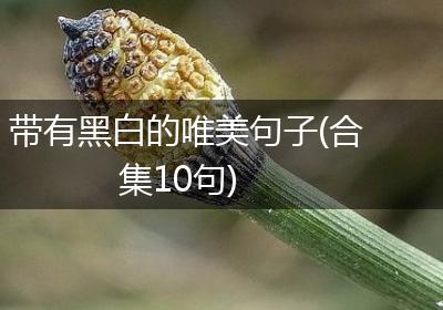 带有黑白的唯美句子(合集10句)