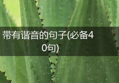 带有谐音的句子(必备40句)