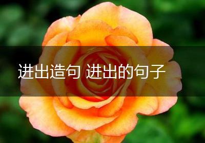 进出造句 进出的句子