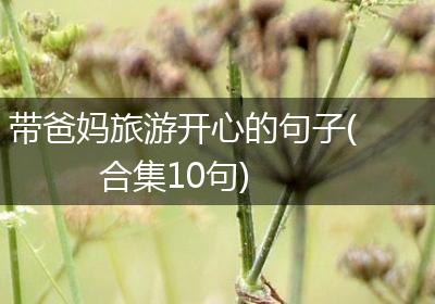 带爸妈旅游开心的句子(合集10句)