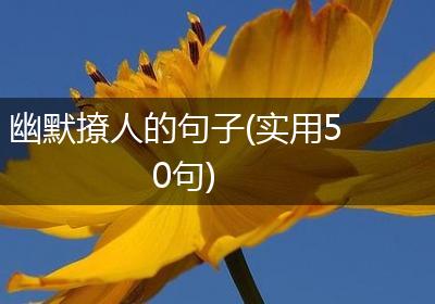 幽默撩人的句子(实用50句)