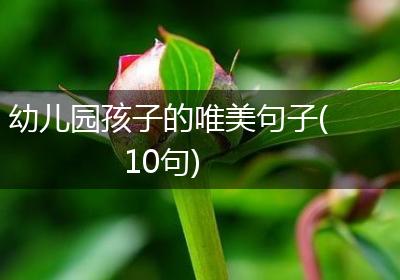 幼儿园孩子的唯美句子(10句)