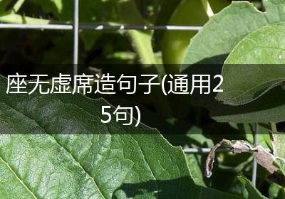 座无虚席造句子(通用25句)