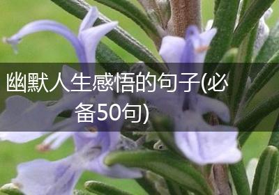 幽默人生感悟的句子(必备50句)