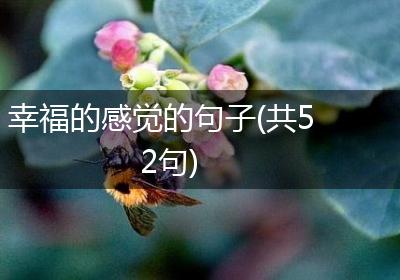 幸福的感觉的句子(共52句)