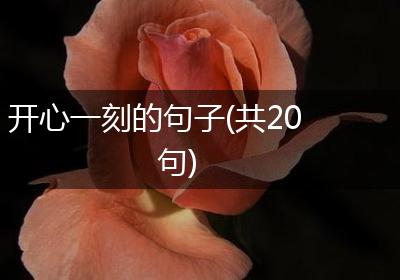 开心一刻的句子(共20句)
