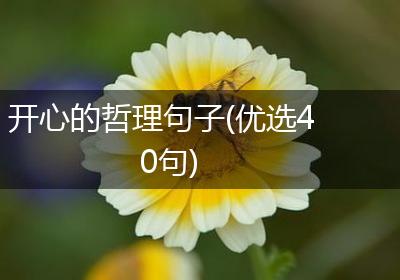 开心的哲理句子(优选40句)