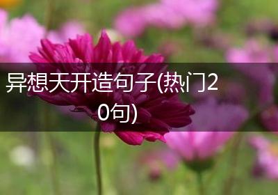 异想天开造句子(热门20句)