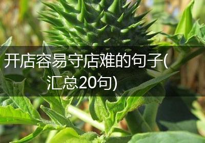 开店容易守店难的句子(汇总20句)
