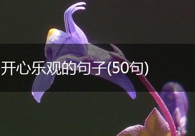 开心乐观的句子(50句)