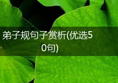 弟子规句子赏析(优选50句)