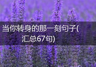 当你转身的那一刻句子(汇总67句)