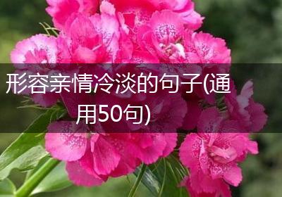 形容亲情冷淡的句子(通用50句)